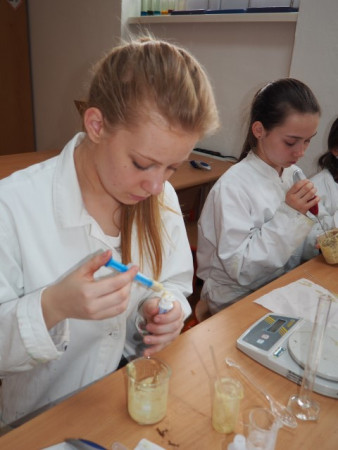 P1010013 (Small).JPG